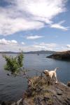 Pacific Northwest : Jul 2005