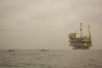 Anacapa & Santa Cruz Islands : Sep 2011