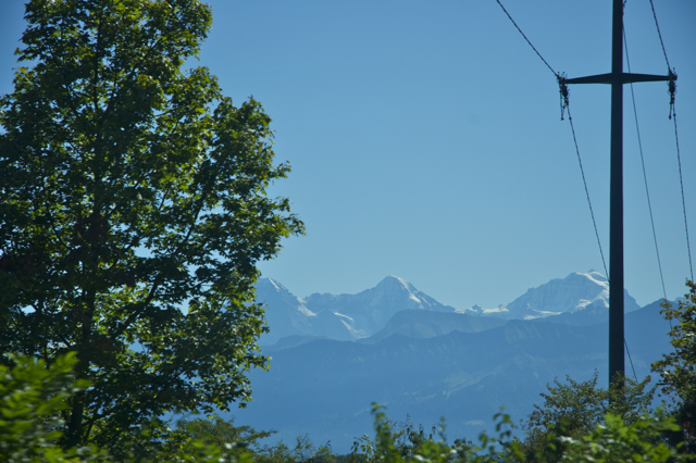 DSC_0116.jpg