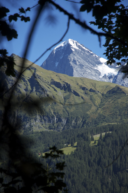 DSC_0128.jpg