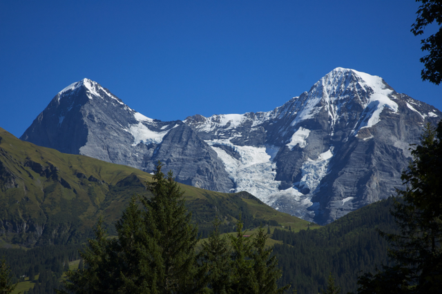 DSC_0131.jpg