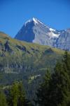DSC_0133.jpg
