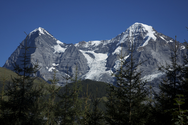 DSC_0141.jpg