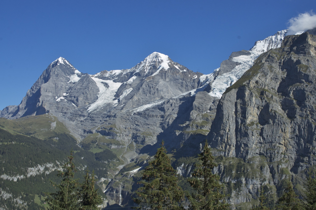 DSC_0153.jpg