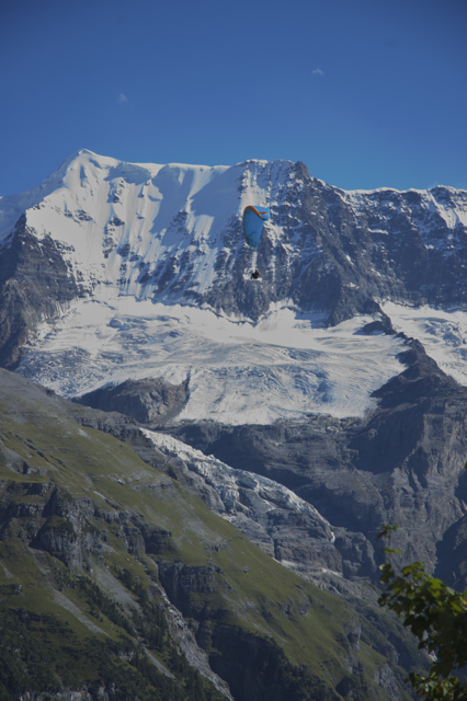 DSC_0158.jpg