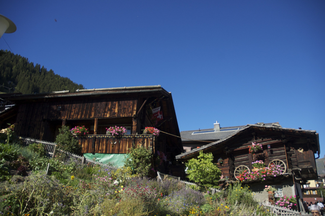 DSC_0165.jpg