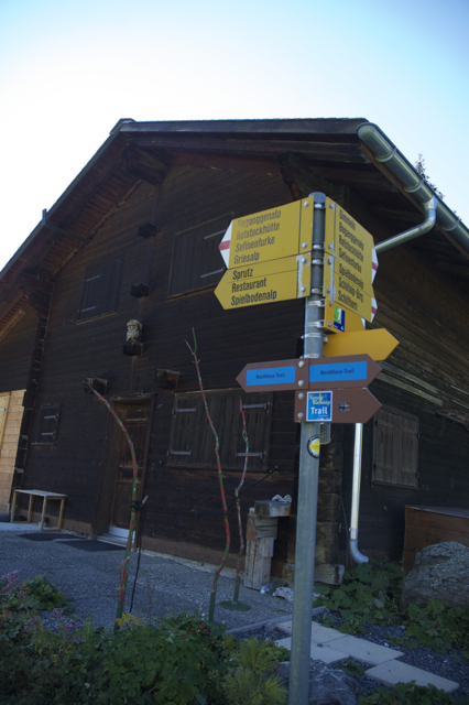 DSC_0168.jpg