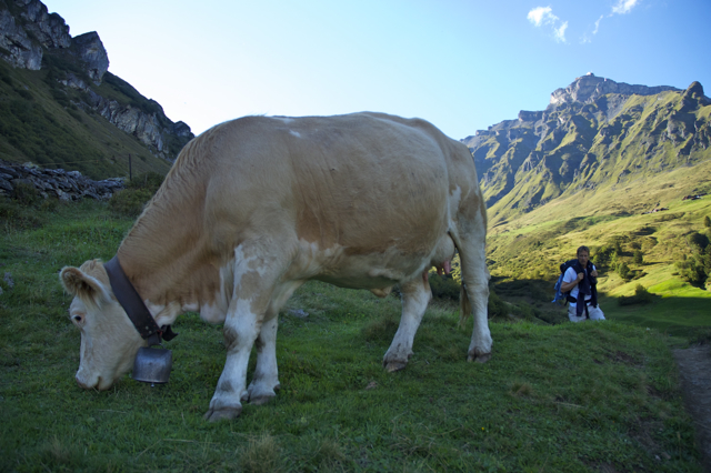 DSC_0176.jpg