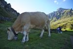 DSC_0176.jpg