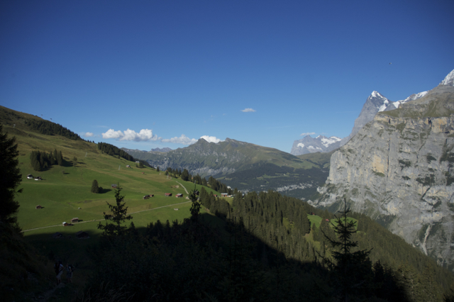 DSC_0178.jpg