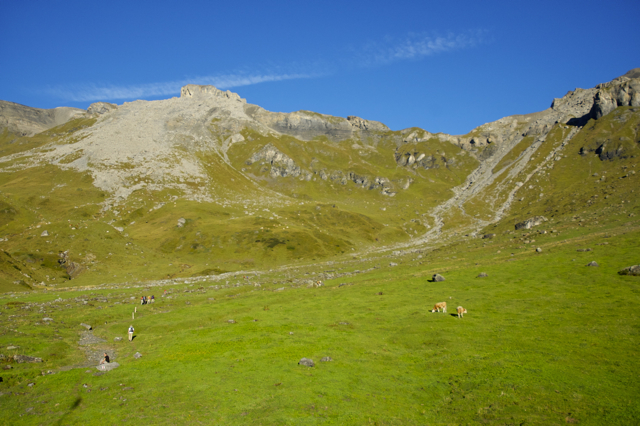 DSC_0209.jpg