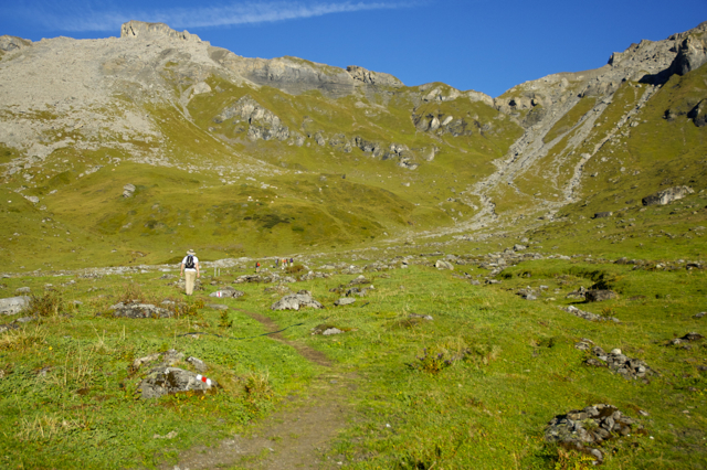 DSC_0211.jpg