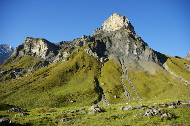 DSC_0212.jpg