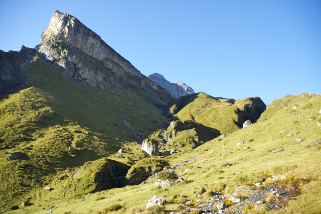 DSC_0214.jpg