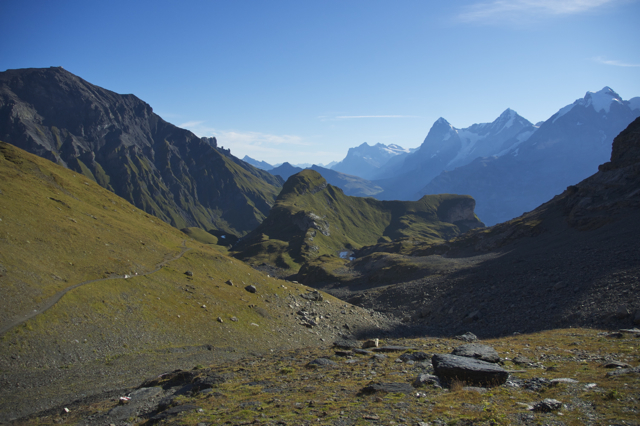 DSC_0223.jpg