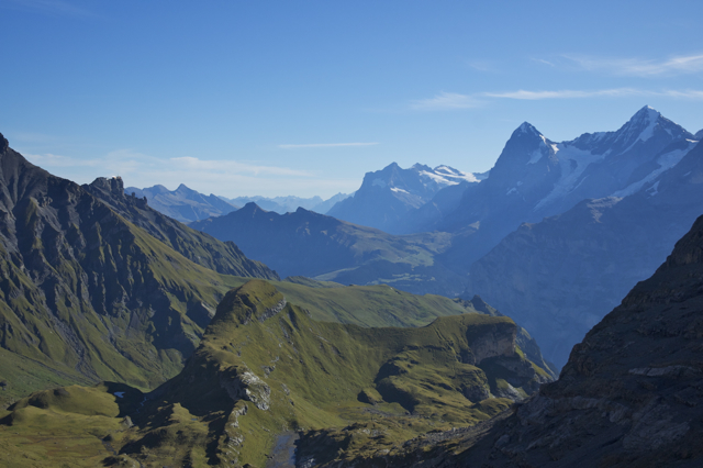 DSC_0232.jpg