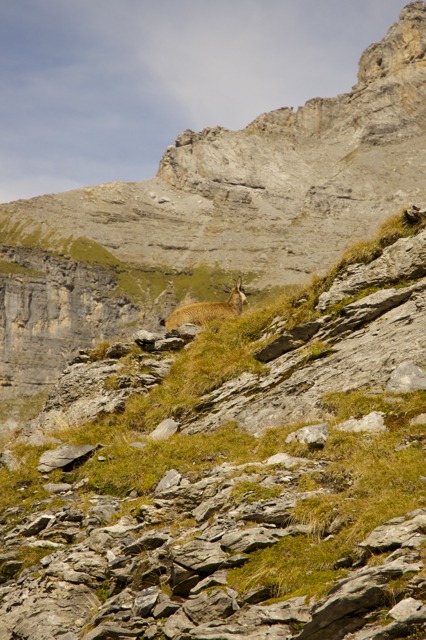 DSC_0282.jpg