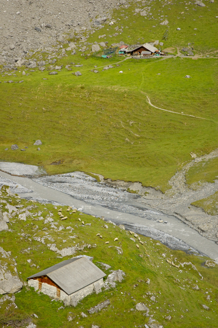 DSC_0348.jpg