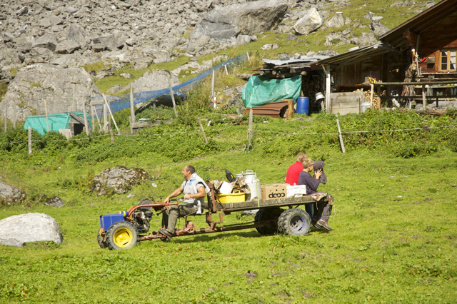 DSC_0351.jpg