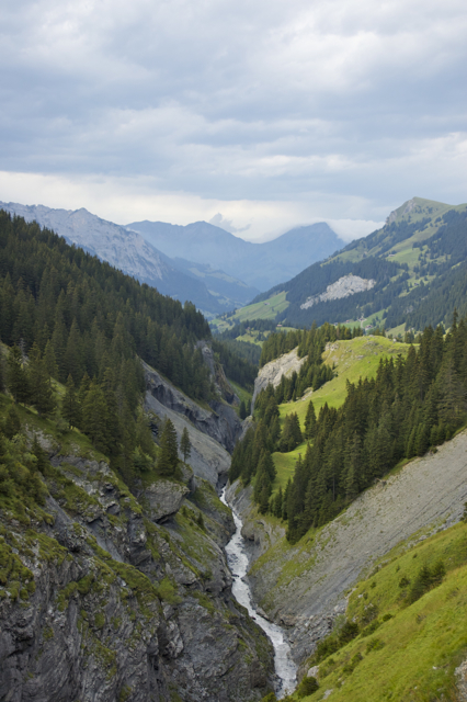 DSC_0356.jpg