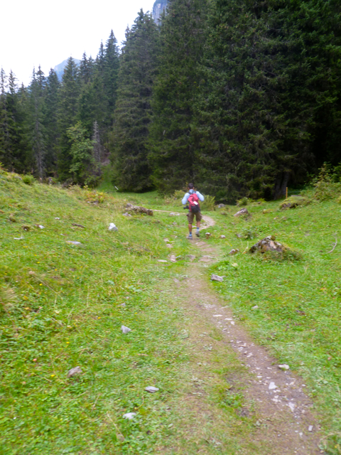 P1010781.jpg