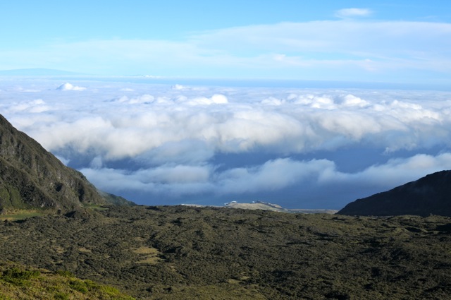 DSC_0003.jpg