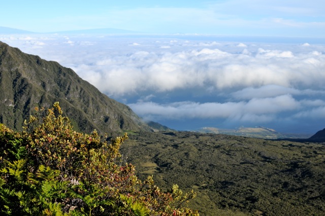 DSC_0006.jpg
