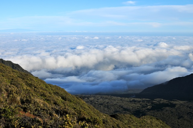 DSC_0010.jpg
