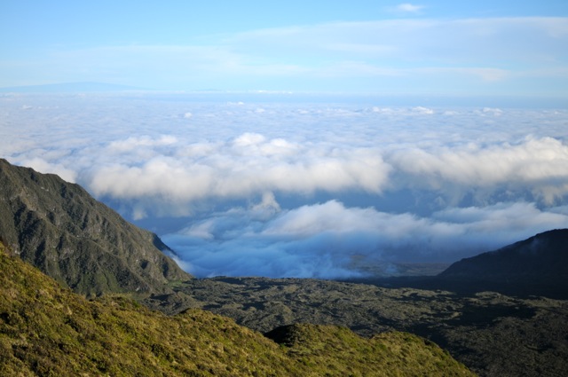 DSC_0014.jpg