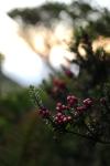 DSC_0028.jpg