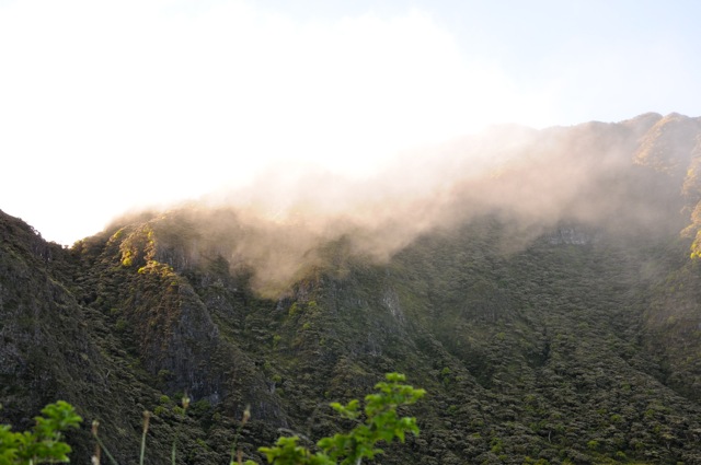 DSC_0047.jpg
