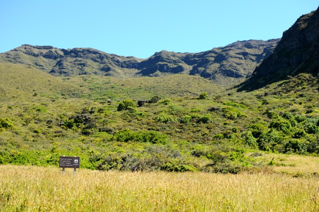 DSC_0054.jpg