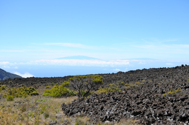 DSC_0059.jpg