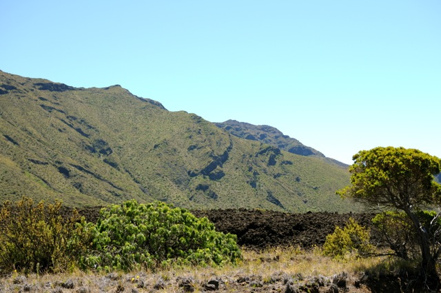 DSC_0062.jpg