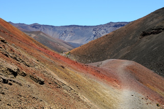 DSC_0083.jpg
