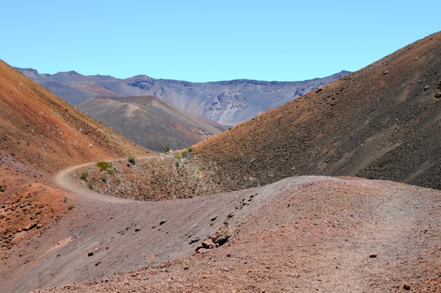 DSC_0084.jpg