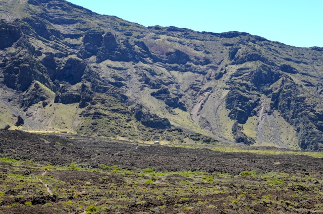 DSC_0101.jpg