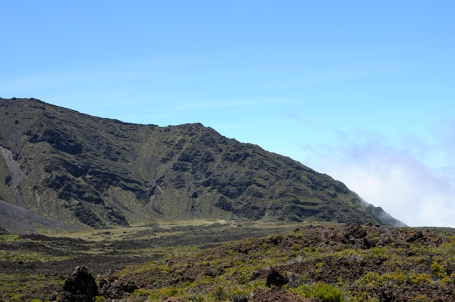 DSC_0102.jpg