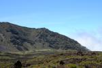 DSC_0102.jpg