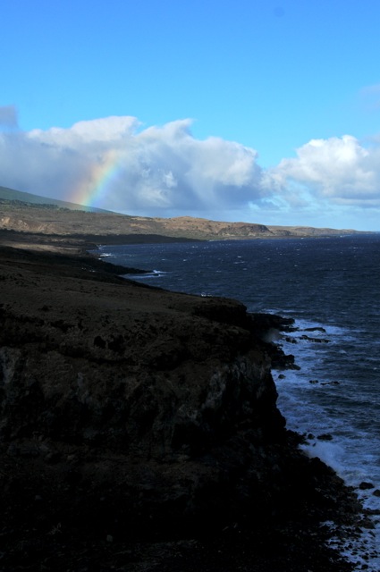 DSC_0130.jpg