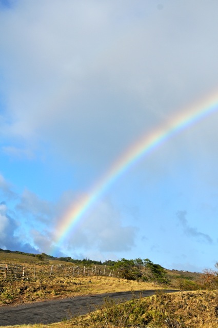 DSC_0132.jpg