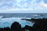 DSC_0138.jpg