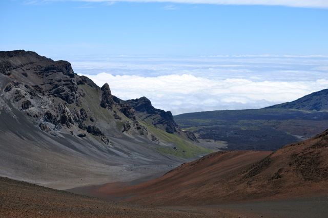 DSC_9905.jpg