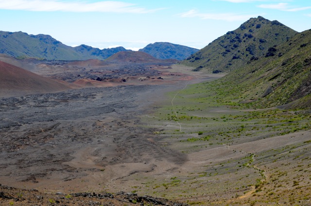 DSC_9934.jpg