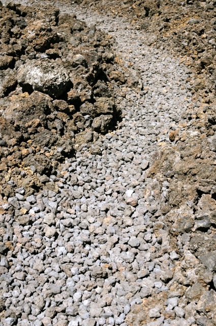 DSC_9993.jpg