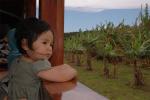Kauai Plantation Train Ride : May 2007