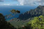 Kauai Road Touring : May 2007