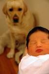 Welcome Home : Apr 2006