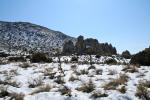 Joshua Tree : Feb 2012