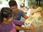 Museum of Natural History : Dec 2011